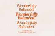 Eighties Comeback Serif (70 fonts), a Serif Font by Nicky Laatz (Thumbnail 17 of 47)