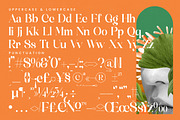 Mosbic Modern Luxury Serif, a Serif Font by timelesstype.co (Thumbnail 18 of 20)