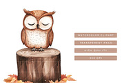 Watercolor Autumn Clipart, an Object Illustration by SparkyDesignsUS (Thumbnail 7 of 10)