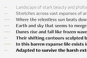 Luvian; Elegant Font Family, a Sans Serif Font by Eko Bimantara (Thumbnail 6 of 15)