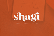 Buche Contemporary Serif, a Serif Font by FactoryType Studio (Thumbnail 5 of 12)