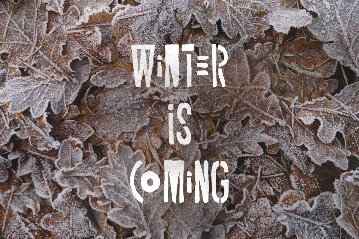 Recolter preview 4