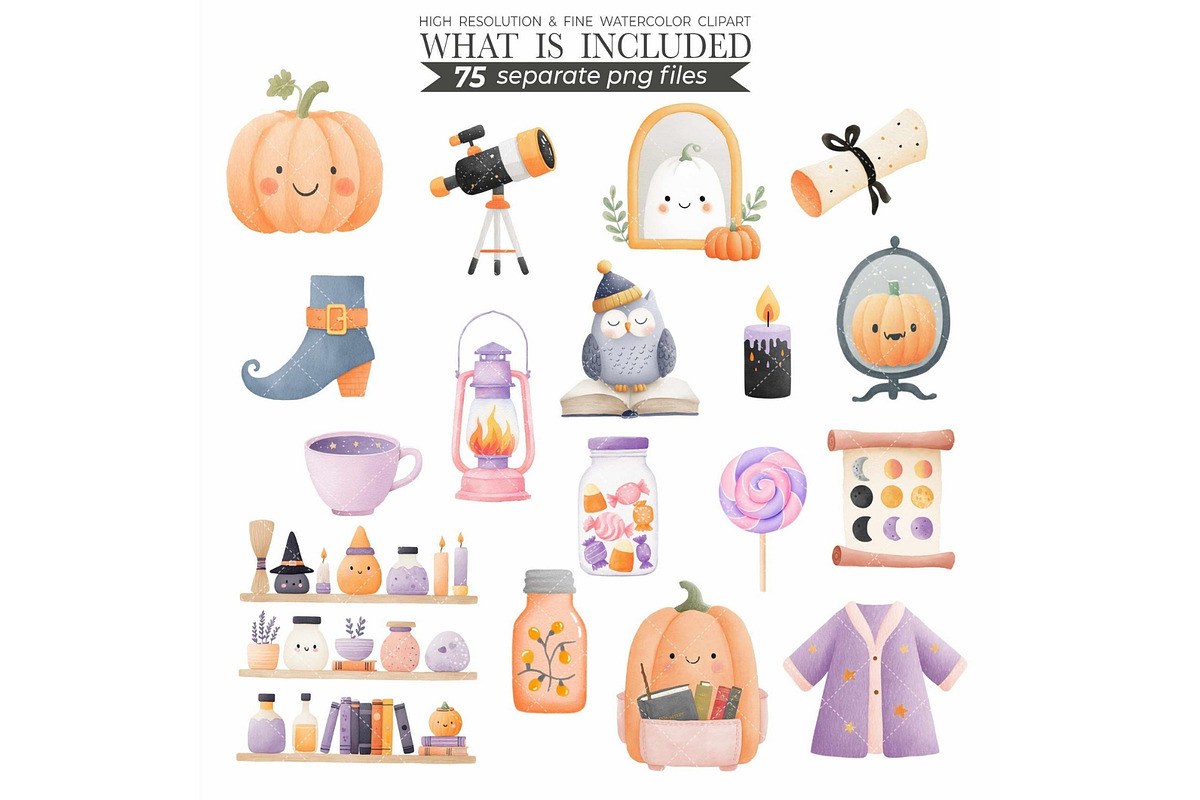 Witchy Goose Halloween Clipart Set, an Illustration by CharmClipart (Photo 8 of 9)