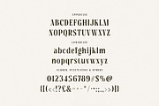 Tersakiti Elegant Modern Serif, a Serif Font by Cruzine (Thumbnail 5 of 8)