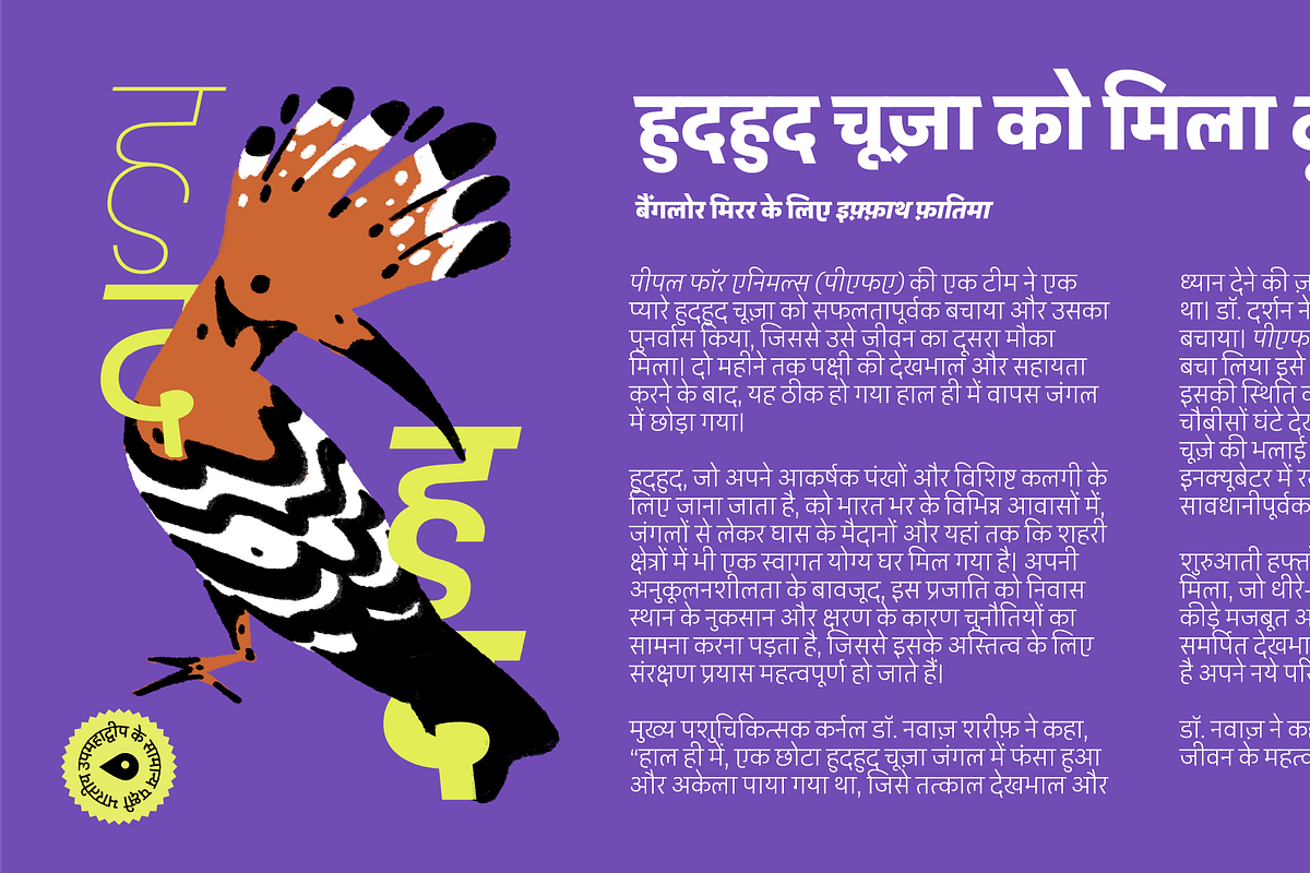 Peridot Devanagari, a Sans Serif Font by Foundry5 (Photo 6 of 10)