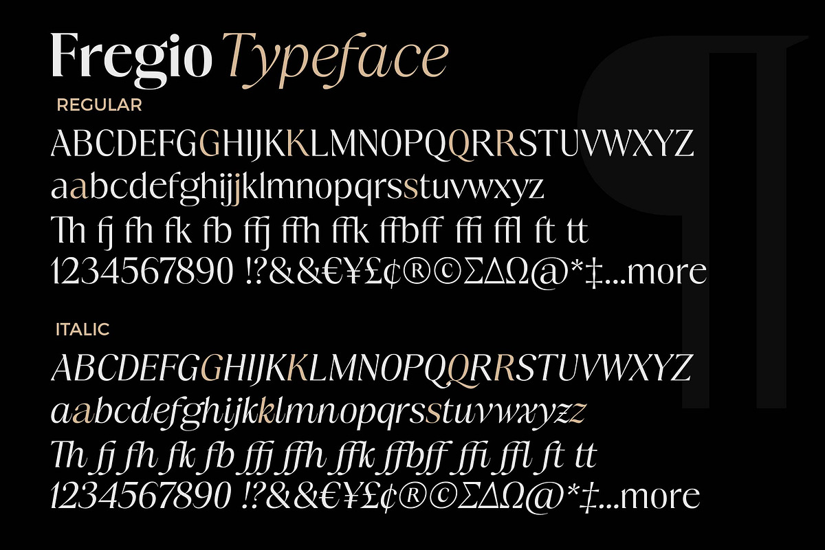 Fregio - Serif Family (10 Fonts), a Serif Font by Dora Typefoundry (Photo 16 of 16)