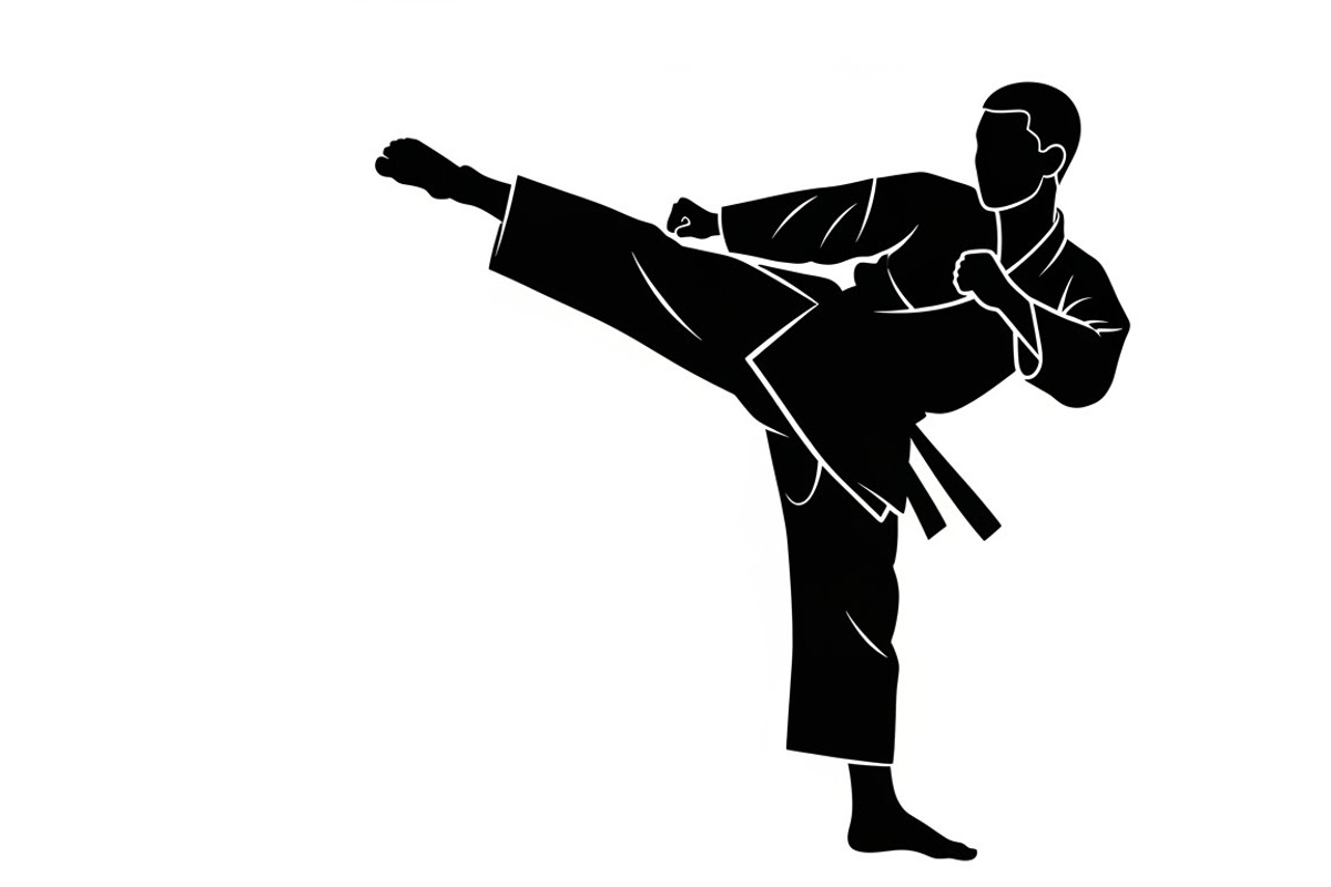 Dynamic martial arts kick silhouette, an Illustration by Amazin_art (Photo 5 of 36)