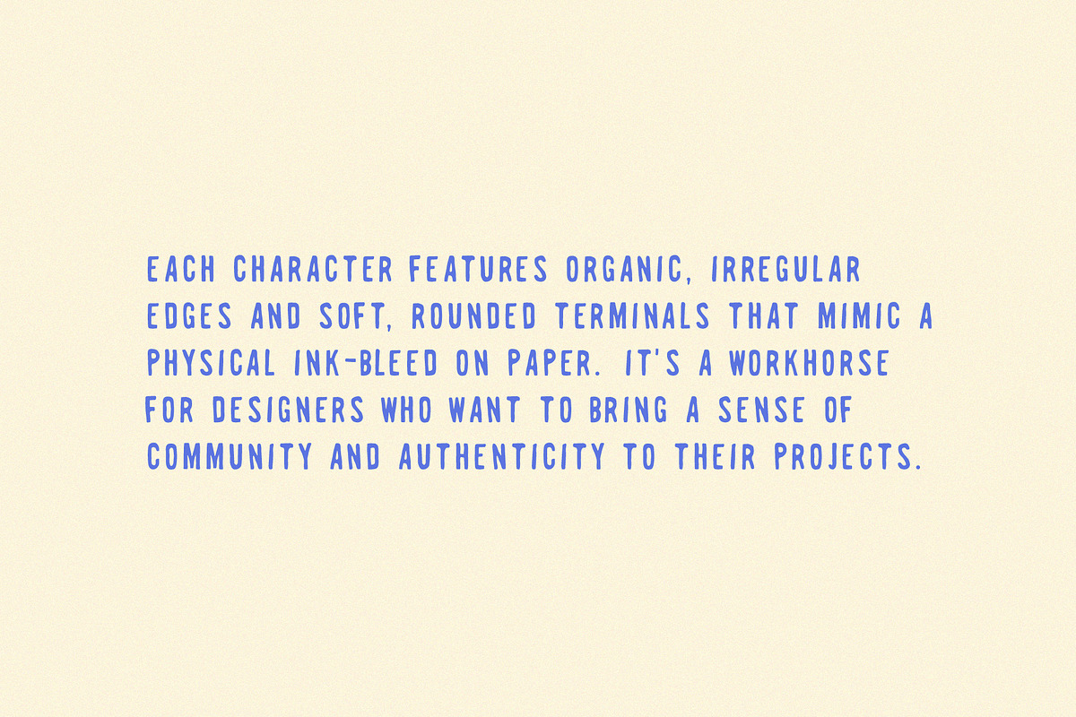 Wild Grain | A Bold Retro Stamp Sans, a Sans Serif Font by Courtney Flannagan Design (Photo 6 of 7)