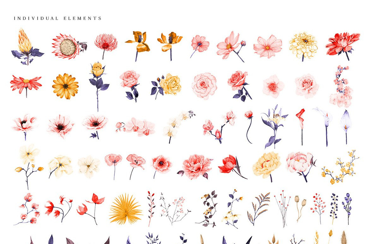 Ultimate Flower & Leaf Collection, an Object Graphic by Pretty Little Lines (Photo 25 of 47)