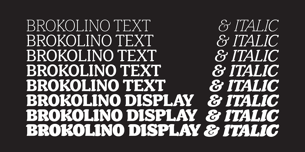 Brokolino Text, a Slab Serif Font by Aspro Type (Photo 9 of 14)