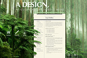 Google Doc Resume Template, CV Word, a Resume Template by Career Canvas (Thumbnail 2 of 11)