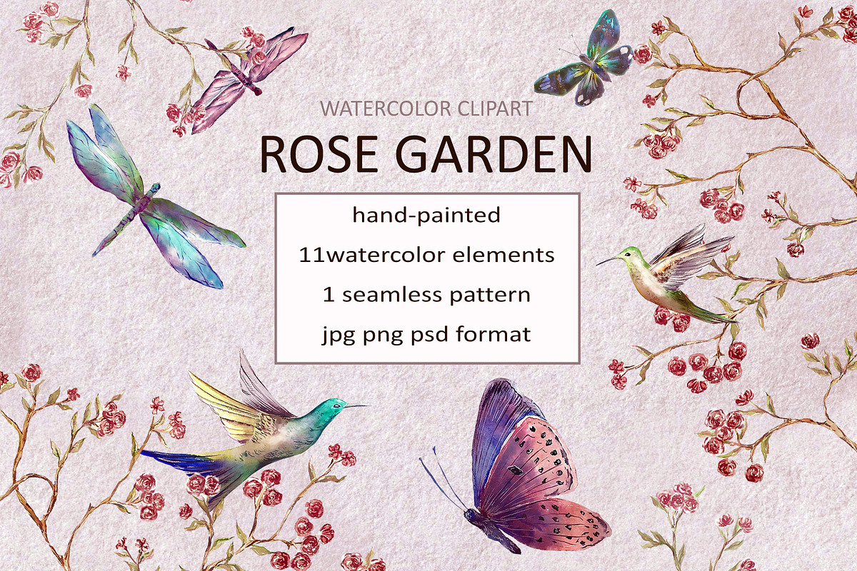 Rose butterfly watercolor clipart, an Illustration by Lidia's watercolor world (Photo 1 of 7)
