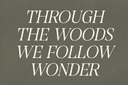 CS Regus – Modern Serif Font, a Serif Font by Craft Supply Co. (Thumbnail 3 of 8)