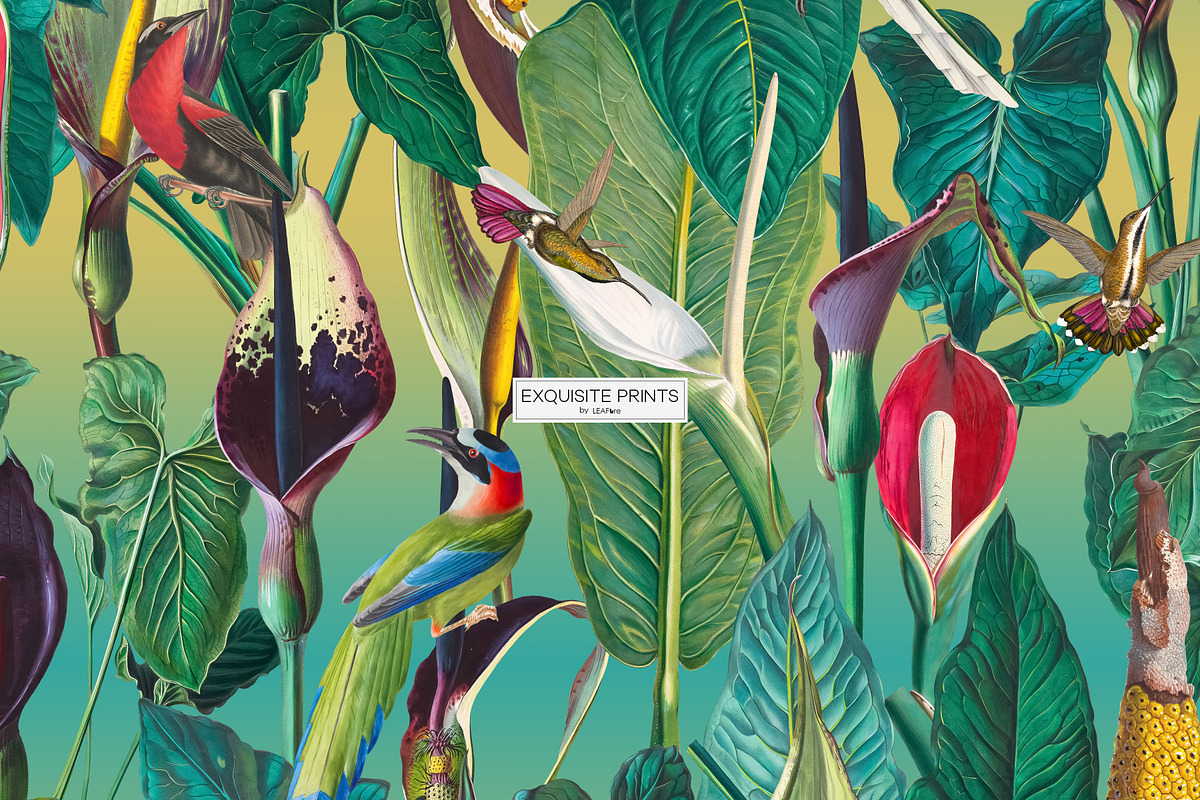 Exotic Tropical Patterns & Motifs, a Pattern Graphic by LEAFure (Photo 11 of 13)
