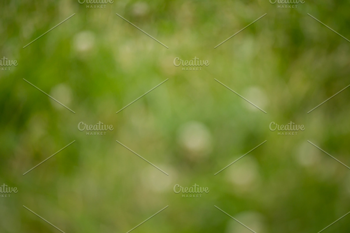 GreenGrass blurred backgrounds, a Texture Graphic by Punto Photo (Photo 2 of 3)