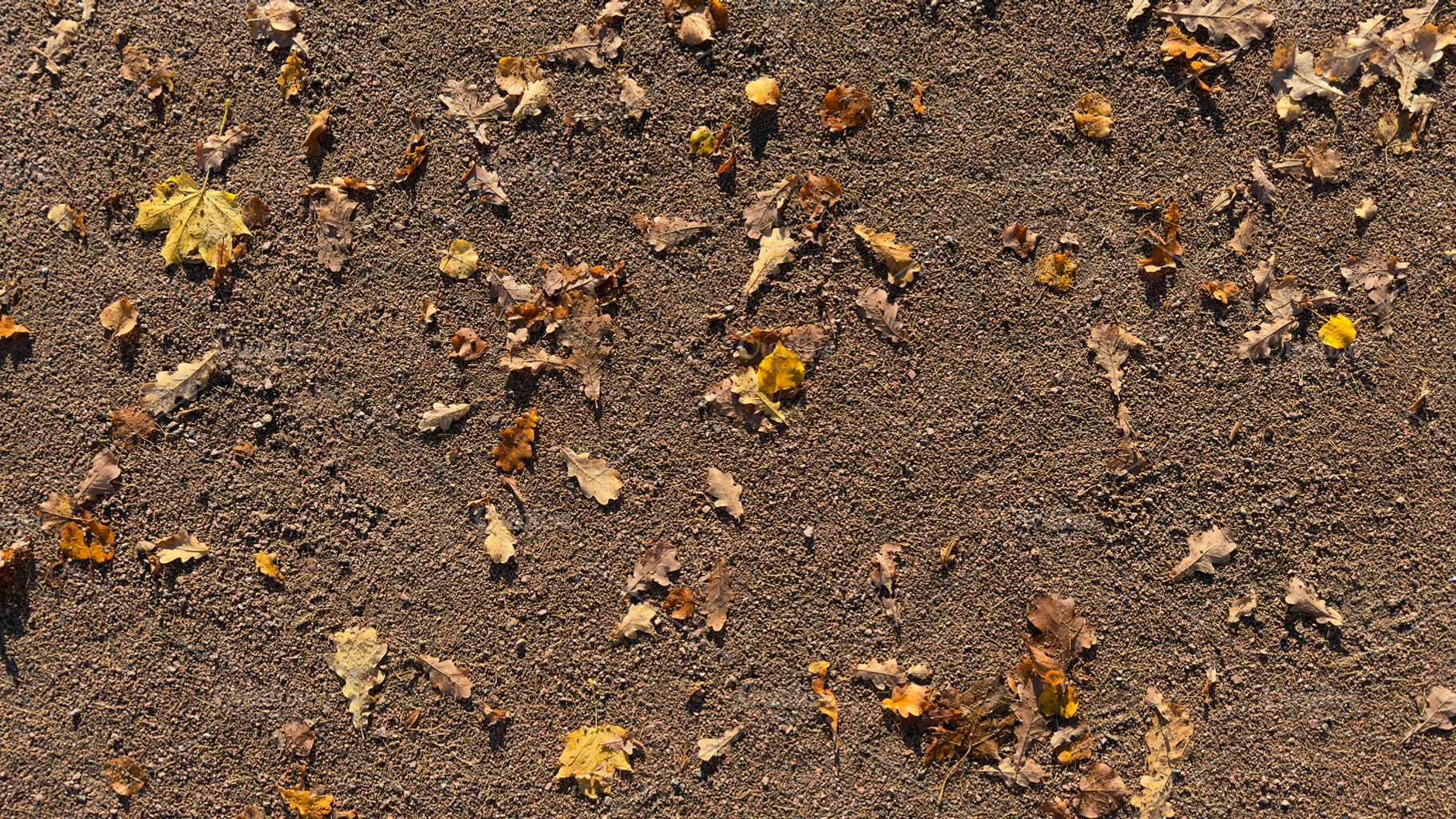 A ground covered with various fallen leaves on sandy soil, a Nature Photo by Textures & Backgrounds