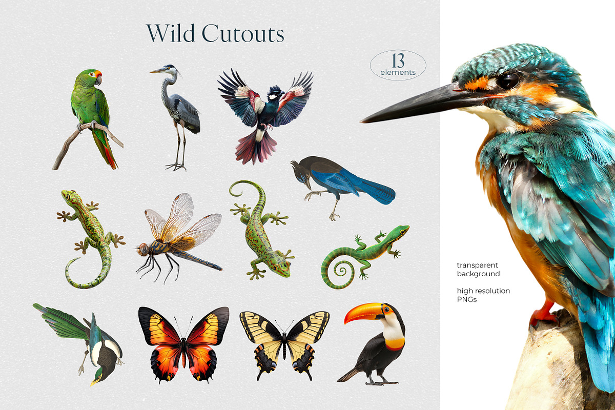 Relusion – Modern Collage Pack, a Graphic by R-studio (Photo 7 of 16)