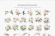 Peony Blush - Watercolor, a Decorative Illustration by ThaismotaCreativeCo (Thumbnail 9 of 11)