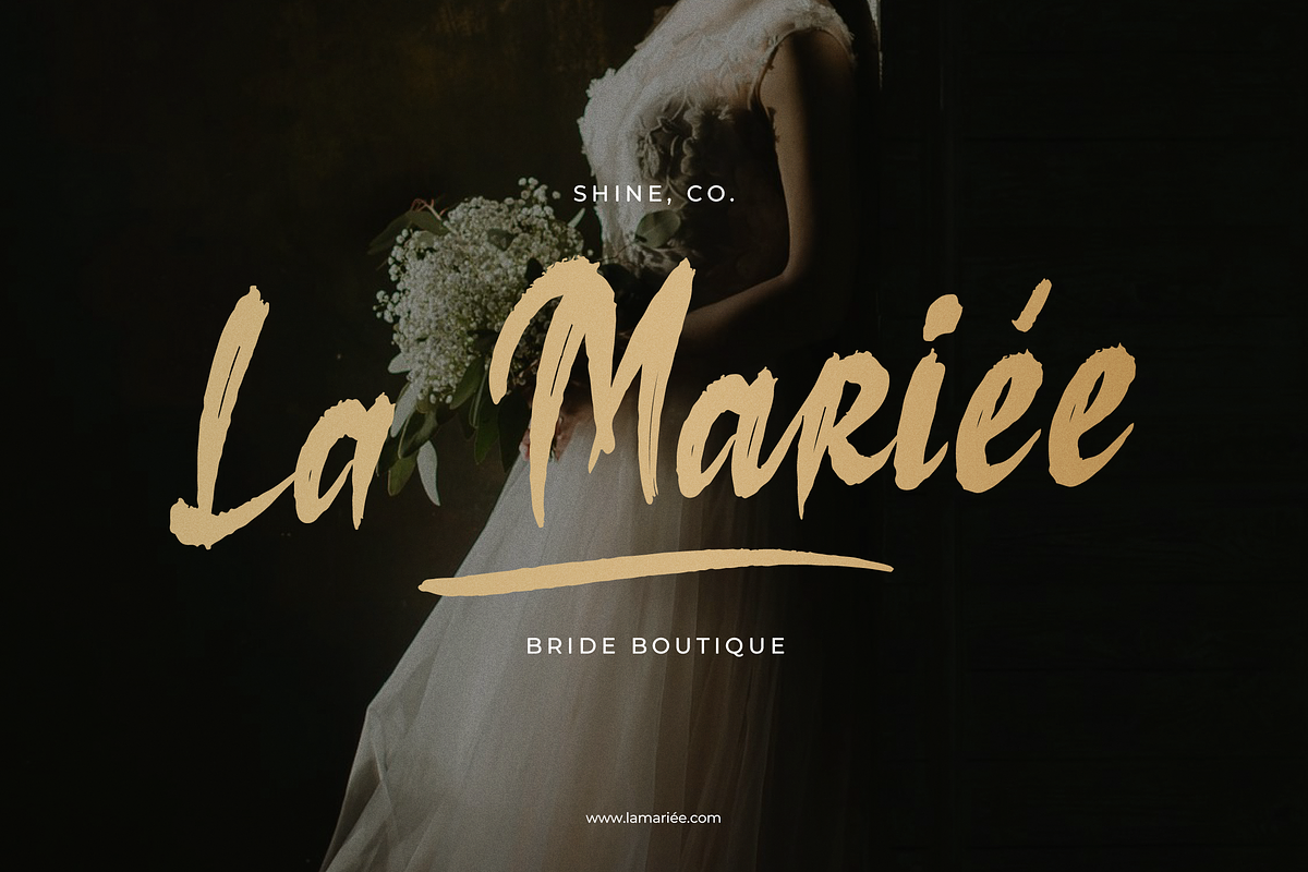 Losiento | Brush Handwritten Font, a Handwritten Font by Denustudios (Photo 4 of 15)