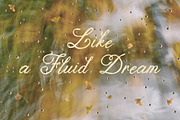 The Blooming Hour Botanical Script, a Script Font by AnMark (Thumbnail 11 of 12)