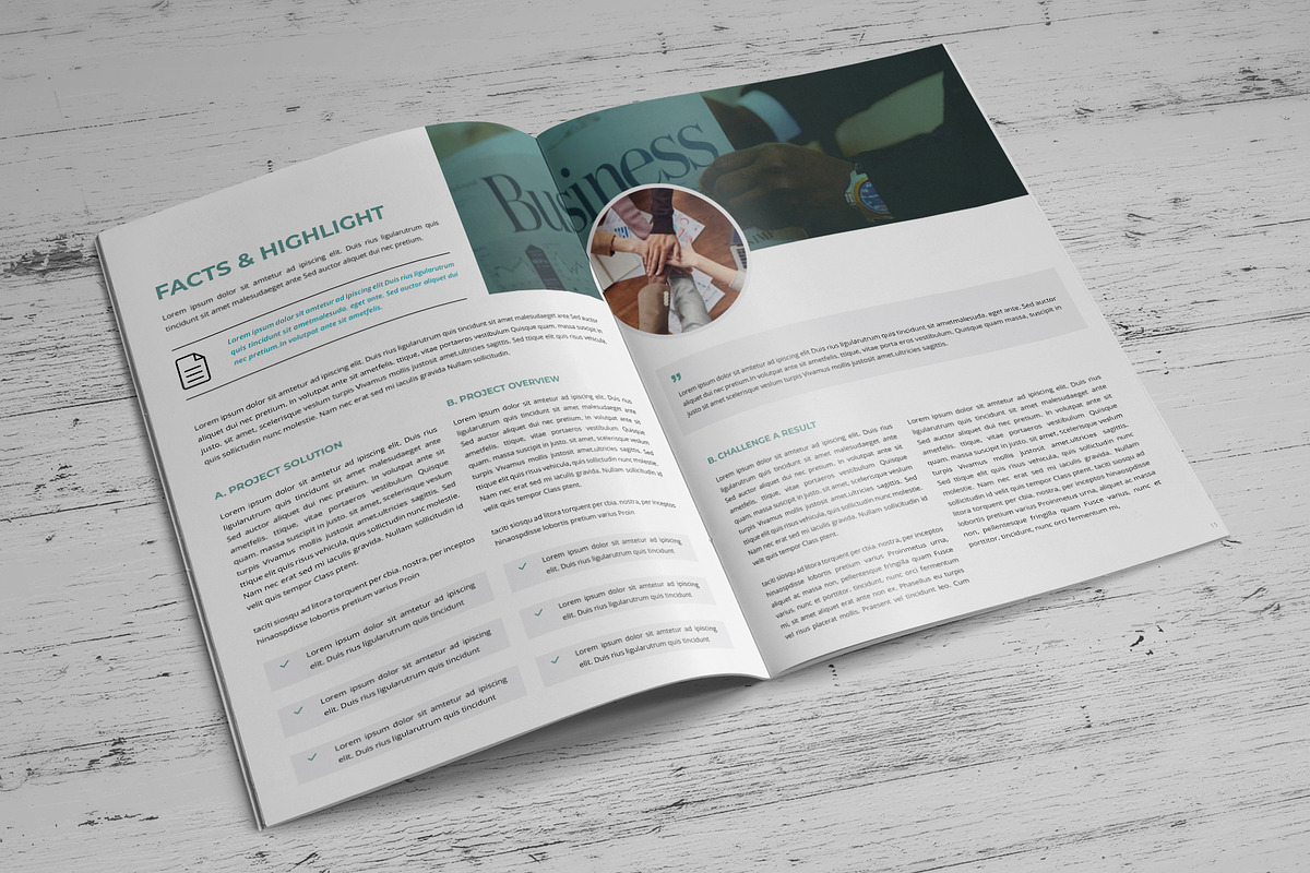 Company Profile Template V5, a Brochure Template by SamiSimply7 (Photo 8 of 9)