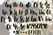 NANCY Brush Lettered Font, a Handwritten Font by Rhonna Designs (Thumbnail 3 of 3)