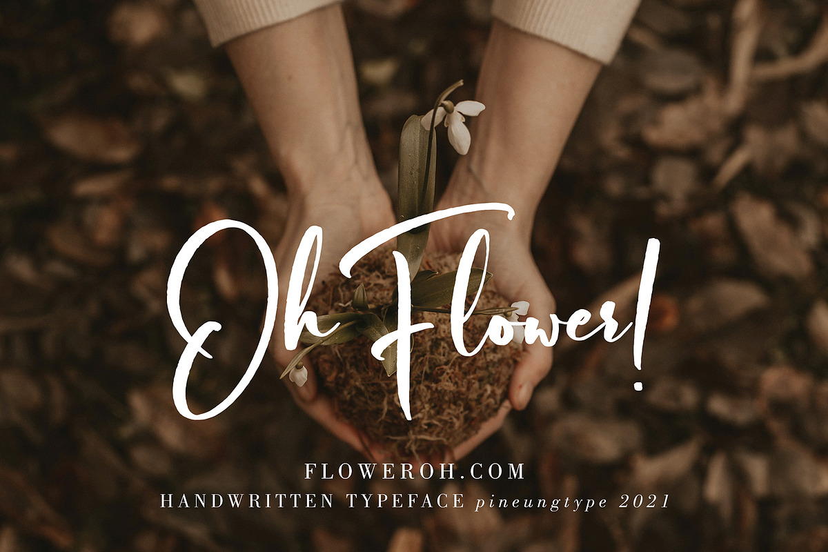 Bilattera, a Script Font by pineungtype (Photo 2 of 8)