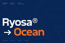 Ryosa Ocean - Heavy Duty Cargo Sans