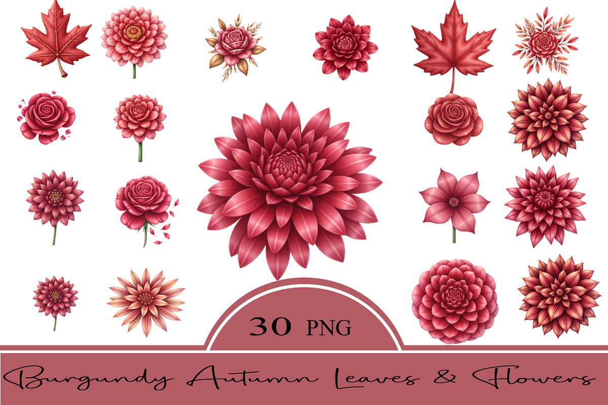 Burgundy Autumn Leaves & Flowers, an Illustration by CrexoraLab (Photo 1 of 5)