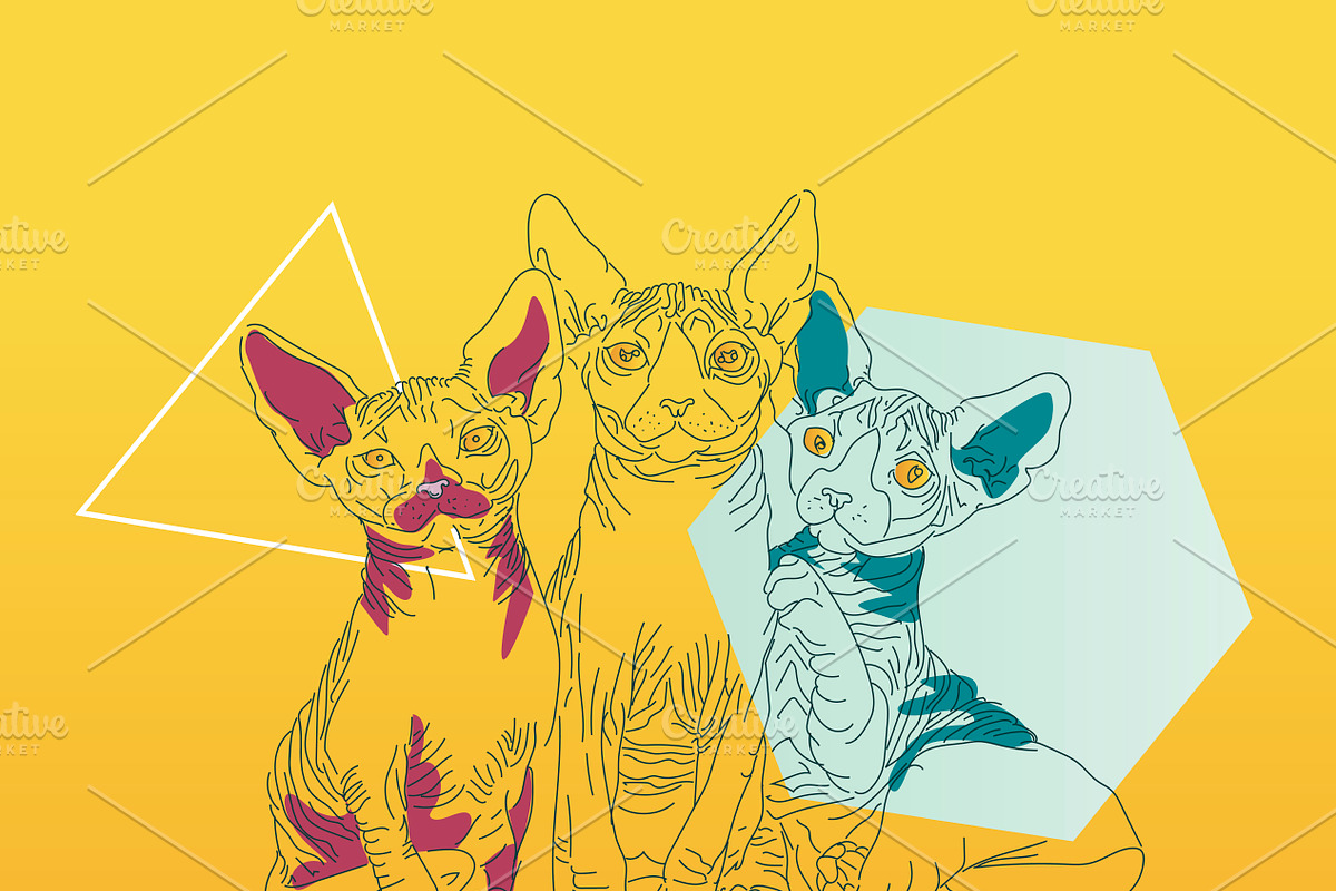The cats, an Animal Illustration by 2D/3D (Photo 4 of 5)