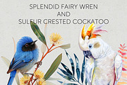 Australian Native Birds Clipart PNG, an Animal Illustration by Pawcasso's Portraits (Thumbnail 4 of 7)