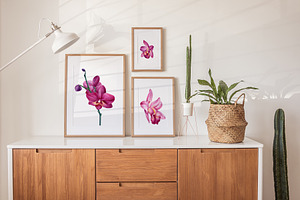 Orchid Flowers Watercolor