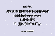 Kyra Script Brush Font, a Sans Serif Font by Blush Font Co. (Thumbnail 6 of 7)