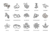 Antioxidant Food Icons, a Food Illustration by Tettygreen (Thumbnail 2 of 3)