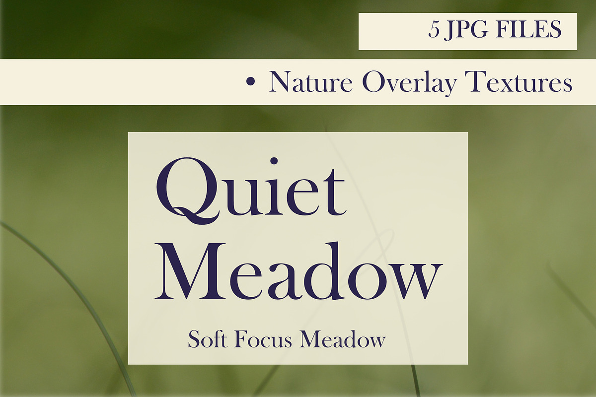 Quiet Meadow — Soft Focus Meadow, a Background Graphic by Aga Silva (Photo 4 of 5)