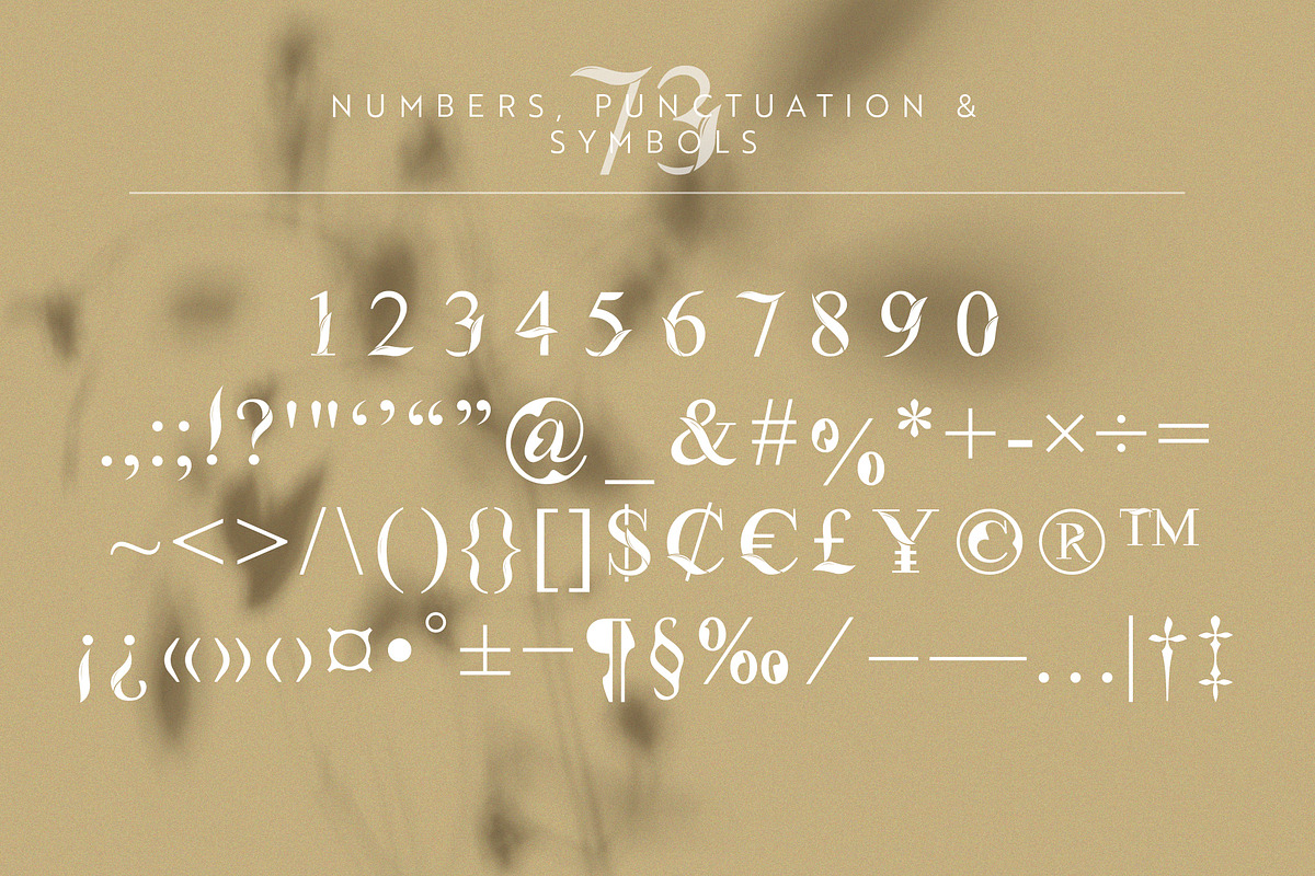 Flora | Modern Display Font, a Serif Font by Kandella's Art (Photo 16 of 18)