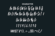 Darkrooms Brushed Font, a Sans Serif Font by Giant Design (Thumbnail 10 of 10)