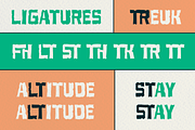 Treuk – Grunge Vintage Font, a Sans Serif Font by Tiptop Graphic (Thumbnail 8 of 8)
