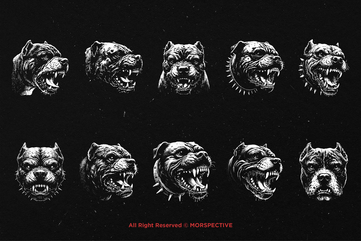 10 Bundle Dark Art Pitbull Dog Beast, an Illustration by Morspective (Photo 6 of 7)