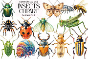 Insects Clipart Bundle, an Illustration by Daily.Designs (Thumbnail 1 of 3)