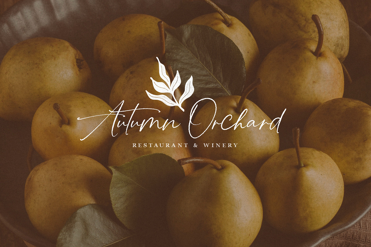Juniper Bloom | Script & SVG Serif, a Handwritten Font by Callie Rian & Co. (Photo 14 of 26)