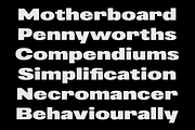 403 Vusion, a Sans Serif Font by 403 Type Foundry (Thumbnail 12 of 20)