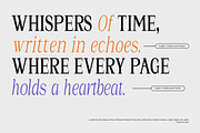 La Rochelle | Serif Family-83 Style, a Serif Font by Black Studio (Thumbnail 2 of 15)