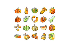Pumpkins and squash whole and sliced, an Object Graphic by pikepicture