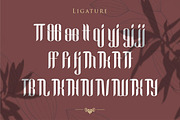 Looqie | Beauty Display Font, a Script Font by Gilar Studio (Thumbnail 10 of 13)