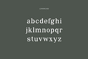 Catelyna Modern Serif Font, a Serif Font by UICreative (Thumbnail 6 of 12)