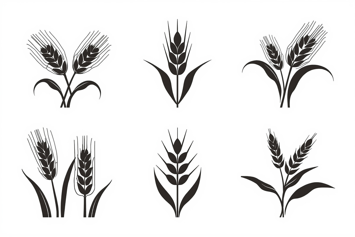 Grass & Wheat Files, an Illustration by jahid234 (Photo 5 of 9)