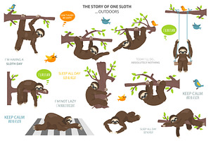 The Story Of One Sloth