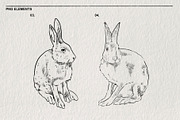 Pencil sketches of rabbit PNG, an Animal Illustration by LOKSKIH (Thumbnail 4 of 5)