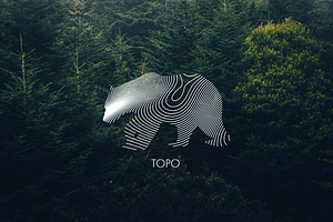 TOPO - Abstract Vector Designs